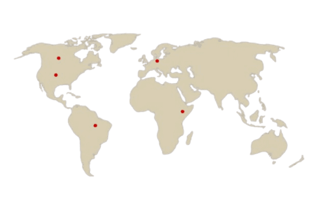 World Map
