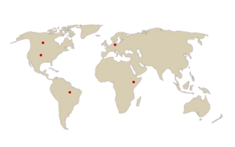 World Map